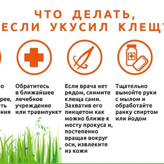 санитарная профилактика